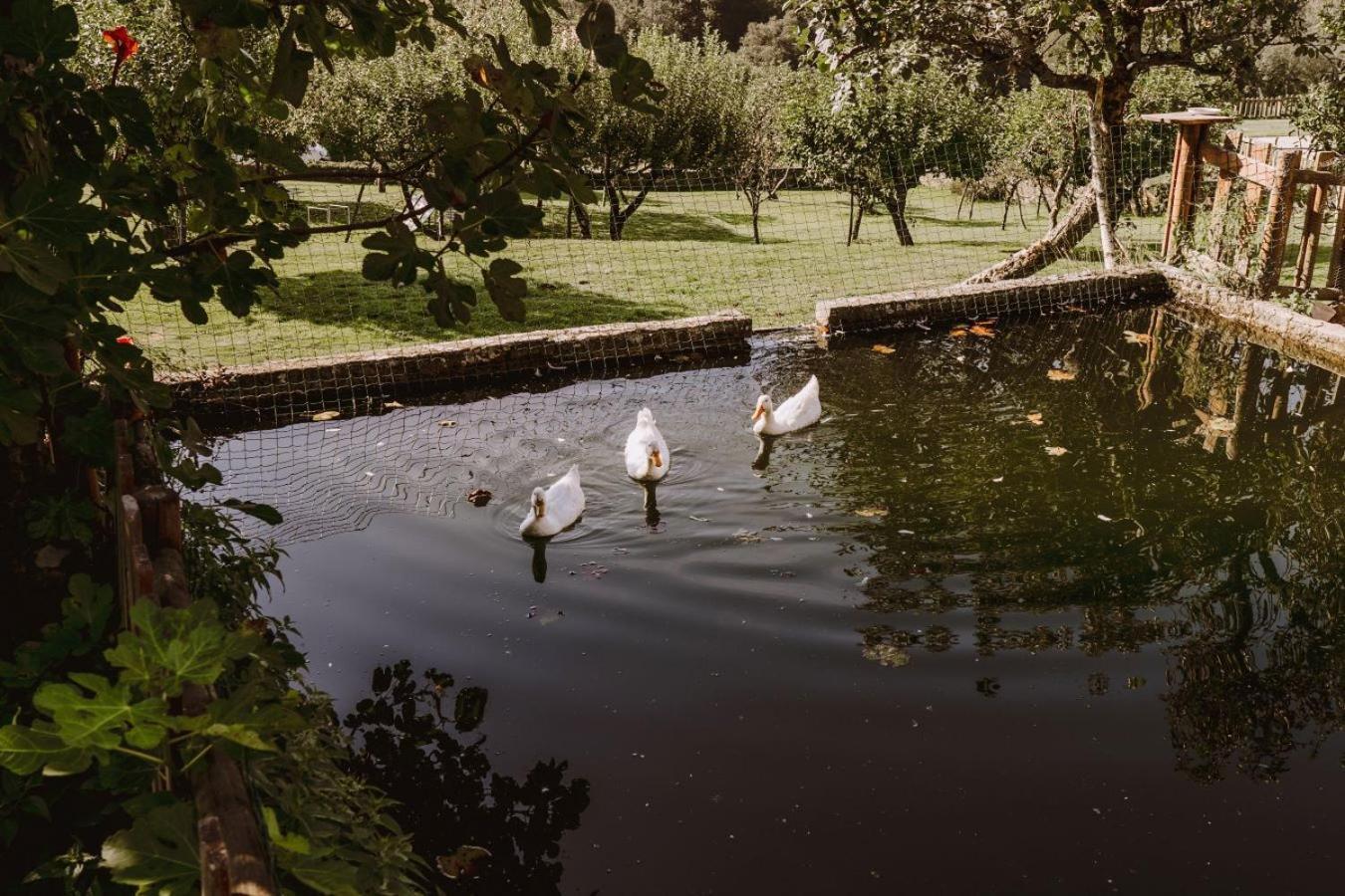 Pazo De Bendoiro Hotel Luaran gambar